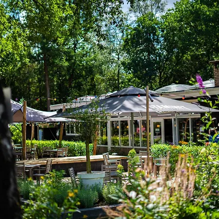 With A Wooded Location On The Veluwe