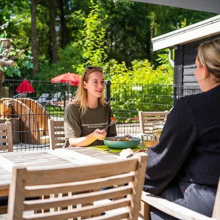 With A Wooded Location On The Veluwe Hébergement de vacances Hoenderloo