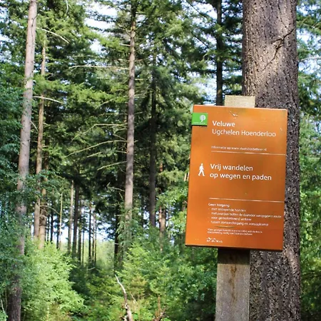 With A Wooded Location On The Veluwe *