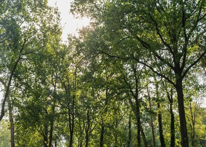 Сasa de vacaciones W Garden & Views