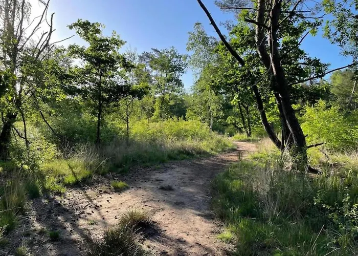 Сasa de vacaciones W Garden & Views *