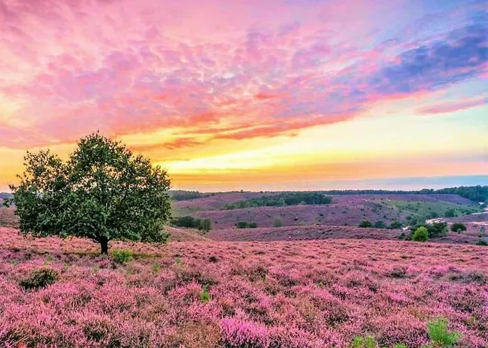 W Garden & Views 펜션 *